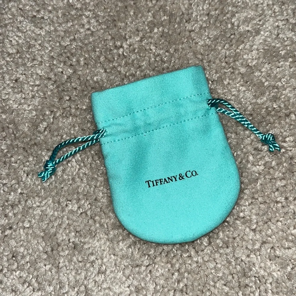 Tiffany & Co small bag - Picture 1 of 2